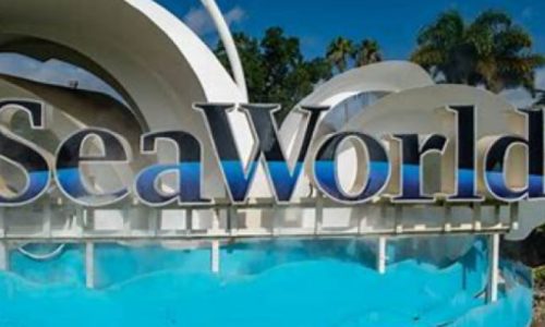 Sea World